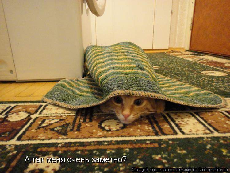 Котоматрица: А так меня очень заметно?