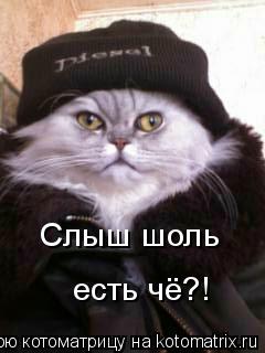 Котоматрица: Слыш шоль есть чё?!