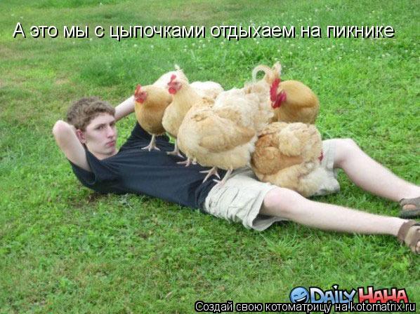 А это мы с цыпочками отдыхаем на пикнике... Котоматрица: А это мы с цыпочками отдыхаем на пикнике