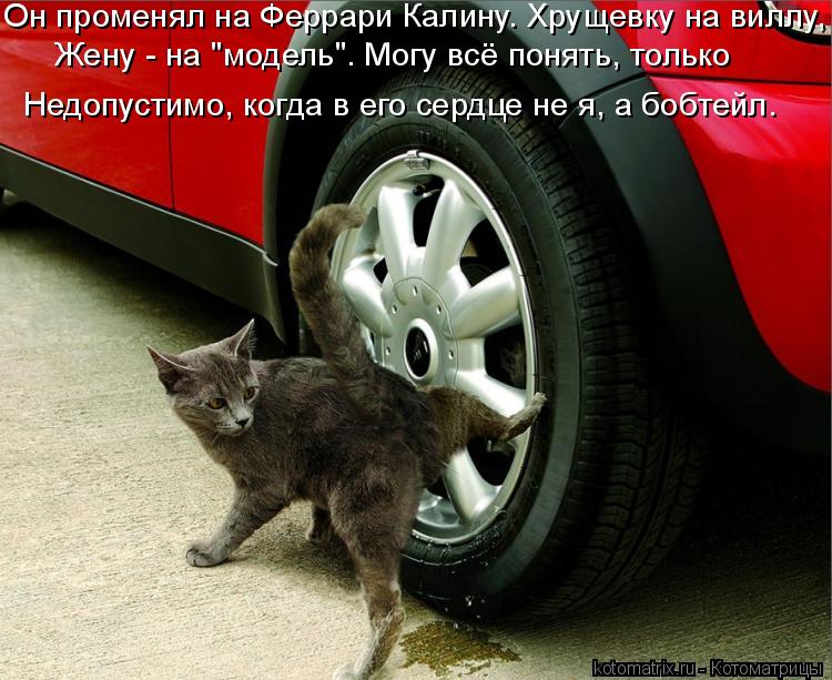 Он променял на Феррари Калину. Хрущевку на виллу, Жену - на "модель". Могу всё понять, только Недопу... Котоматрица: Он променял на Феррари Калину. Хрущевку на виллу, Жену - на "модель". Могу всё понять, только Недопустимо, когда в его сердце не я, а бобтейл.
