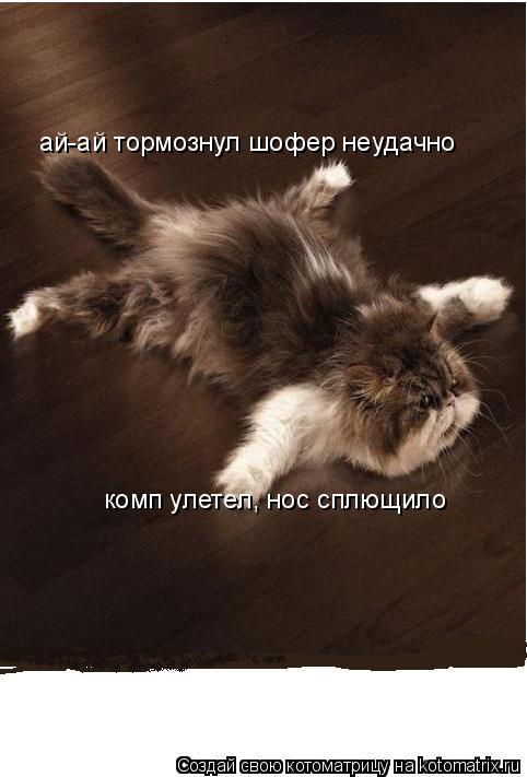 Котоматрица: ай-ай тормознул шофер неудачно комп улетел, нос сплющило