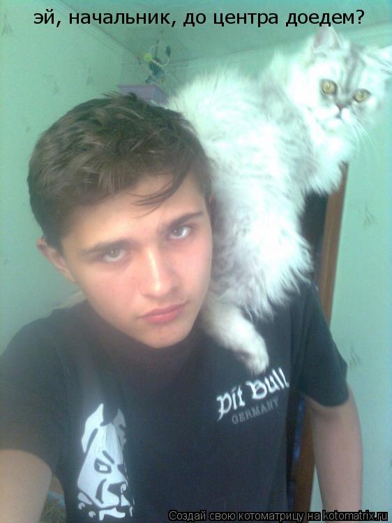 Котоматрица: эй, начальник, до центра доедем?