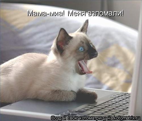 Котоматрица: Мама-миа! Меня взломали!