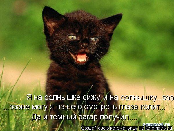 Котоматрица: ...эээне могу я на него смотреть глаза колит... Я на солнышке сижу, и на солнышку...эээне могу я на него смотреть глаза колит...Да и темный загар 