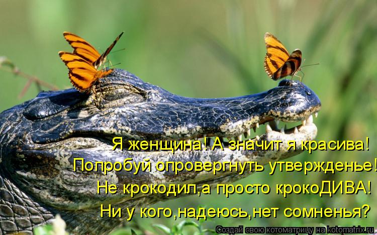 Я женщина! А значит я красива! Попробуй опровергнуть утвержденье! Не крокодил,а просто крокоДИВА! Ни ... Котоматрица: Я женщина! А значит я красива! Попробуй опровергнуть утвержденье! Не крокодил,а просто крокоДИВА! Ни у кого,надеюсь,нет сомненья?