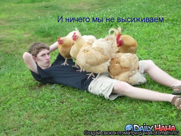 Котоматрица: И ничего мы не высиживаем