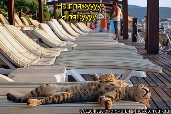 Котоматрица: На пляжуууу Я ляжуууу...
