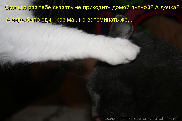 Котоматрица: Сколько раз тебе сказать не приходить домой пьяной? А дочка? А ведь было один раз ма...не вспоминать же,...