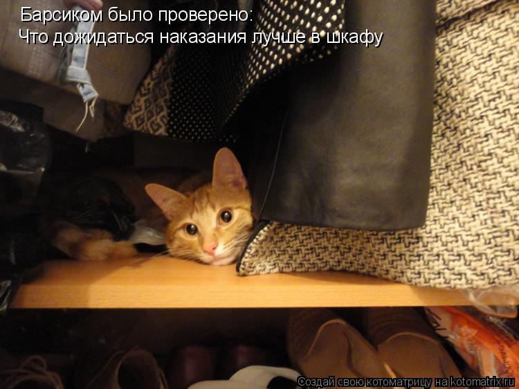 Котоматрица: Барсиком было проверено: Что дожидаться наказания лучше в шкафу