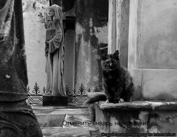 Котоматрица: Отменить январь невозможно