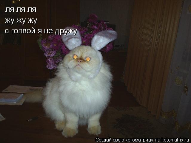 Котоматрица: ля ля ля  жу жу жу жу жу жу с голво я не дружу  с голвой я не дружу