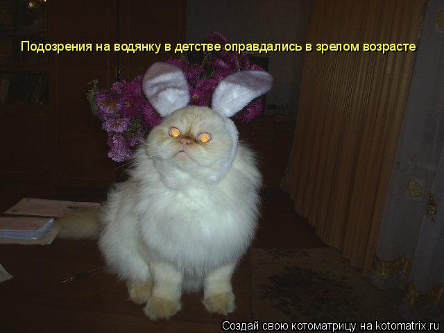 Подозрения на водянку в детстве оправдались в зрелом возрасте... Котоматрица: Подозрения на водянку в детстве оправдались в зрелом возрасте