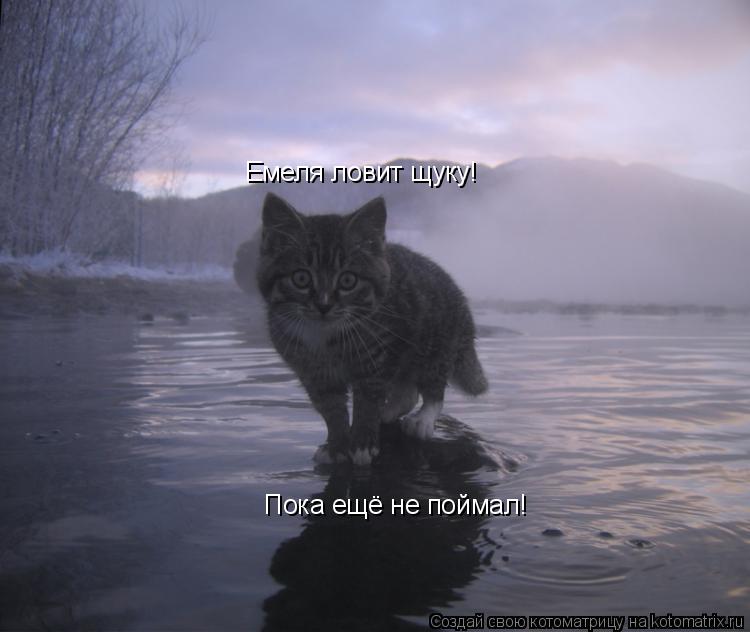 Емеля ловит щуку! Пока ещё не поймал!... Котоматрица: Емеля ловит щуку! Пока ещё не поймал!