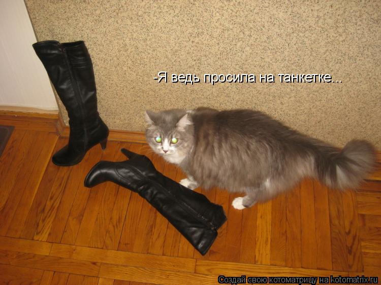 -Я ведь просила на танкетке...... Котоматрица: -Я ведь просила на танкетке...