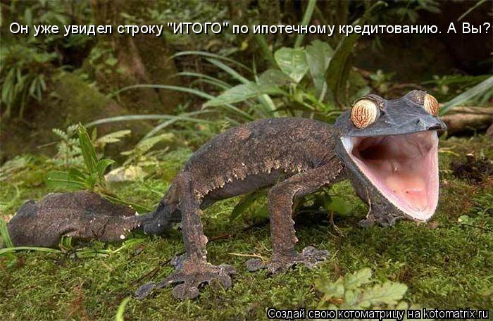 Котоматрица: Он уже увидел строку "ИТОГО" по ипотечному кредитованию. А Вы?