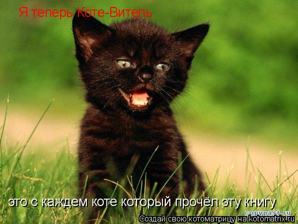 Я теперь Коте-Витель это с каждем коте который прочёл эту книгу... Котоматрица: Я теперь Коте-Витель это с каждем коте который прочёл эту книгу