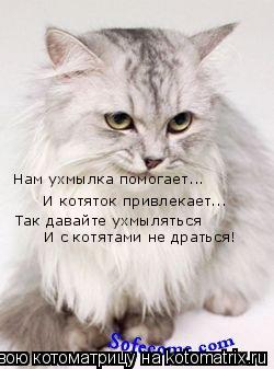 Котоматрица: Нам ухмылка помогает... И котяток привлекает... Так давайте ухмыляться И с котятами не драться!