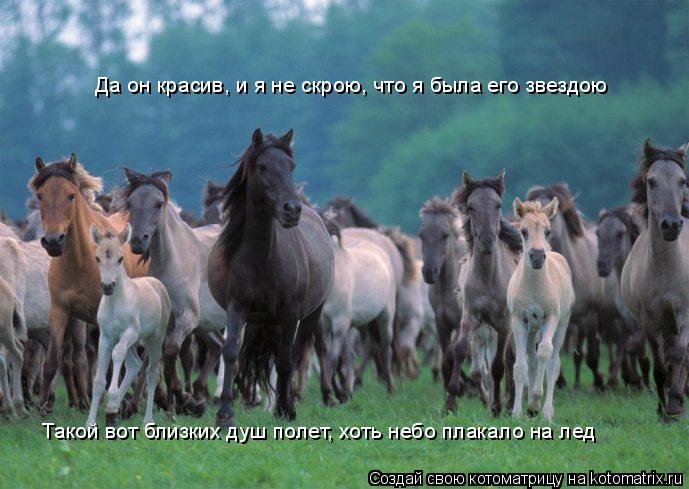 Котоматрица: Да он красив, и я не скрою, что я была его звездою Такой вот близких душ полет, хоть небо плакало на лед