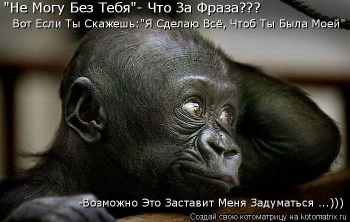 Котоматрица: "Не Могу Без Тебя"- Что За Фраза???  Вот Если Ты Скажешь:"Я Сделаю Всё, Чтоб Ты Была Моей" -Возможно Это Заставит Меня Задуматься ...)))