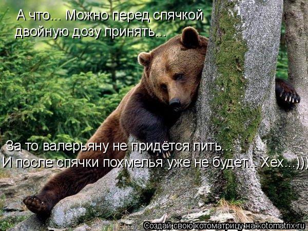 Котоматрица: А что... Можно перед спячкой двойную дозу принять... За то валерьяну не придётся пить... И после спячки похмелья уже не будет... Хех...)))