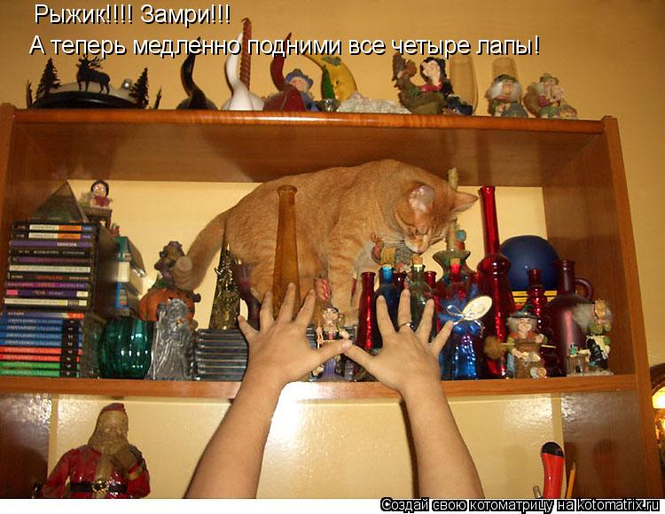 Котоматрица: Рыжик!!!! Замри!!! А теперь медленно подними все четыре лапы!