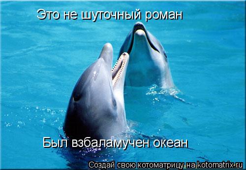 Котоматрица: Это не шуточный роман Был взбаламучен океан