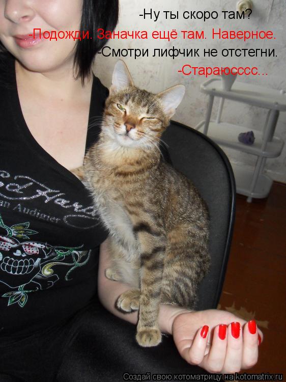 Котоматрица: -Ну ты скоро там? -Подожди. Заначка ещё там. Наверное. -Смотри лифчик не отстегни. -Стараюсссс...