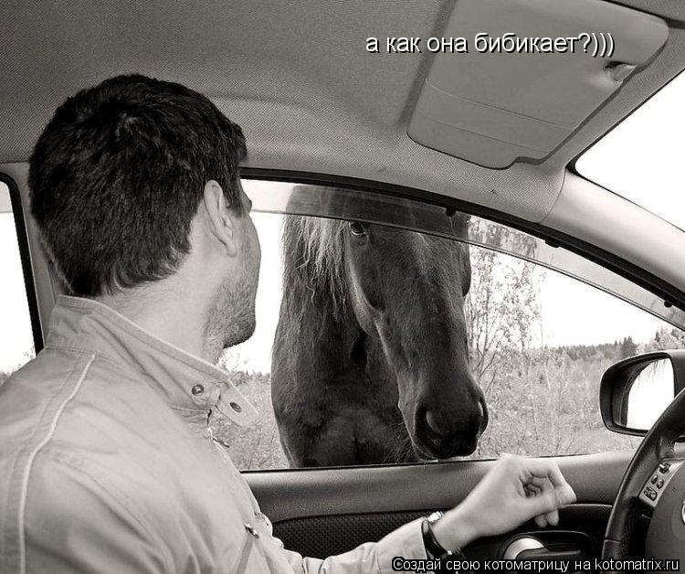 Котоматрица: а как она бибикает?)))