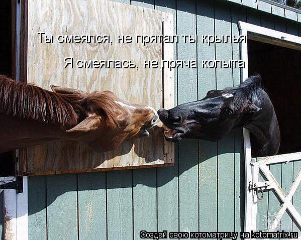 Котоматрица: Ты смеялся, не прятал ты крылья Я смеялась, не пряча копыта