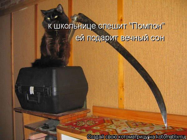 Котоматрица: к школьнице спешит "Помпон" ей подарит вечный сон
