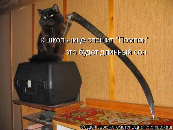 Котоматрица: к школьнице спешит "Помпон" это будет длинный сон