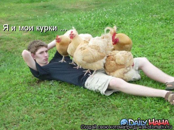 Котоматрица: Я и мои курки ...