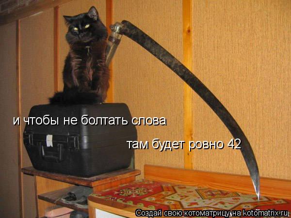 Котоматрица: и чтобы не болтать слова там будет ровно 42
