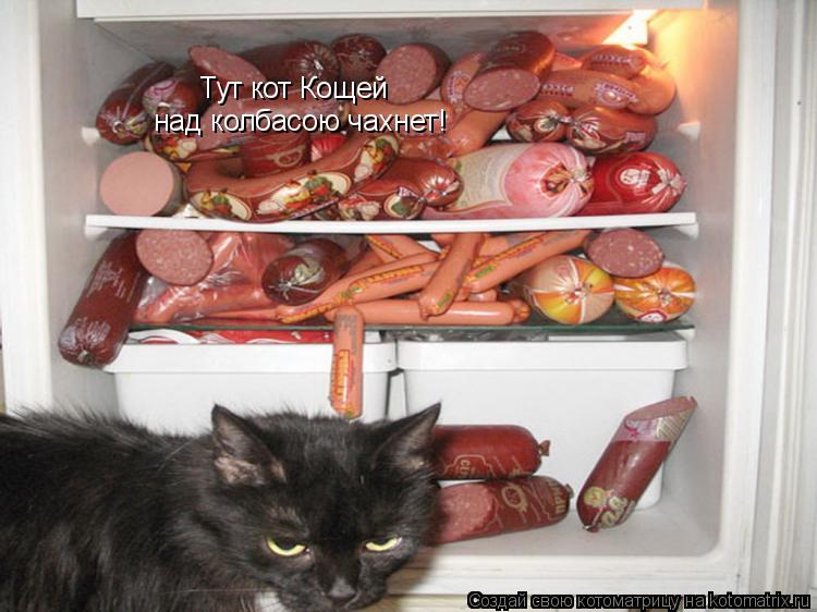 Котоматрица: Тут кот Кощей над колбасою чахнет!