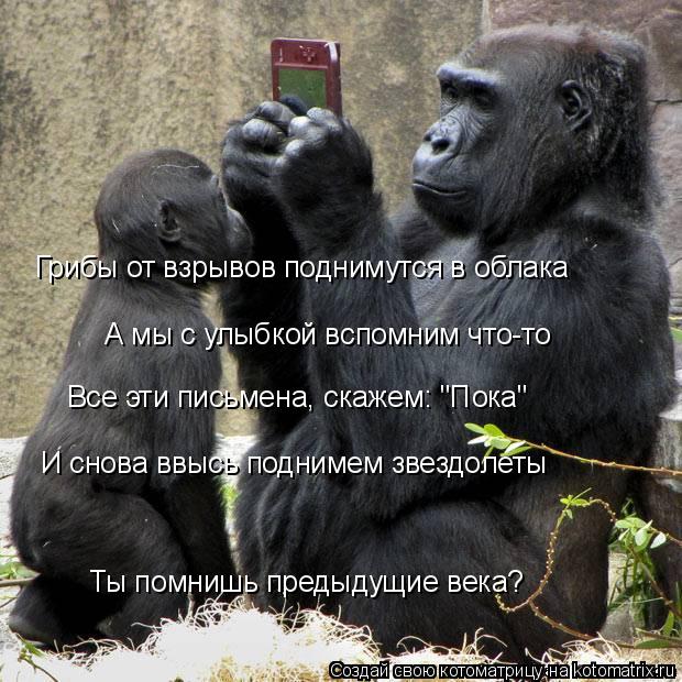 Котоматрица: Грибы от взрывов поднимутся в облака А мы с улыбкой вспомним что-то И снова ввысь поднимем звездолеты Все эти письмена, скажем: "Пока" Ты пом