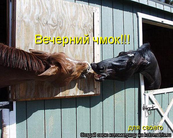 Котоматрица: Вечерний чмок!!! для своего