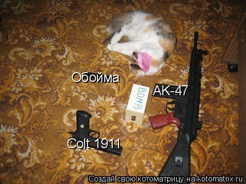 AK-47 Colt 1911 Обойма... Котоматрица: AK-47 Colt 1911 Обойма