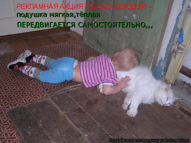 РЕКЛАМНАЯ АКЦИЯ ТОЛЬКО СЕГОДНЯ -- подушка мягкая,тёплая ПЕРЕДВИГАЕТСЯ САМОСТОЯТЕЛЬНО,,,... Котоматрица: РЕКЛАМНАЯ АКЦИЯ ТОЛЬКО СЕГОДНЯ -- подушка мягкая,тёплая ПЕРЕДВИГАЕТСЯ САМОСТОЯТЕЛЬНО,,,