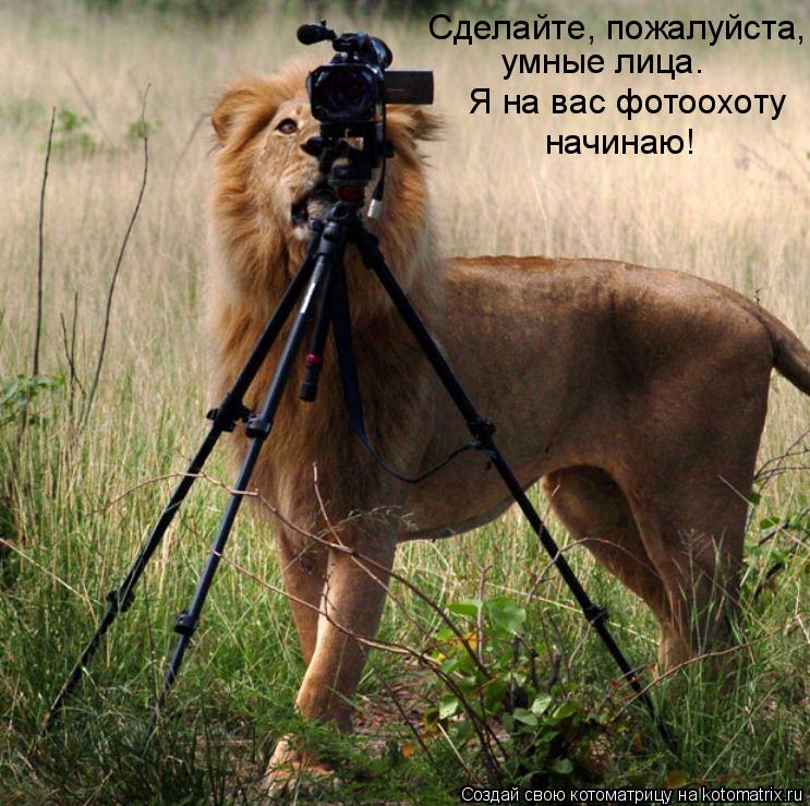 Сделайте, пожалуйста, умные лица. Я на вас фотоохоту начинаю!... Котоматрица: Сделайте, пожалуйста, умные лица. Я на вас фотоохоту начинаю!
