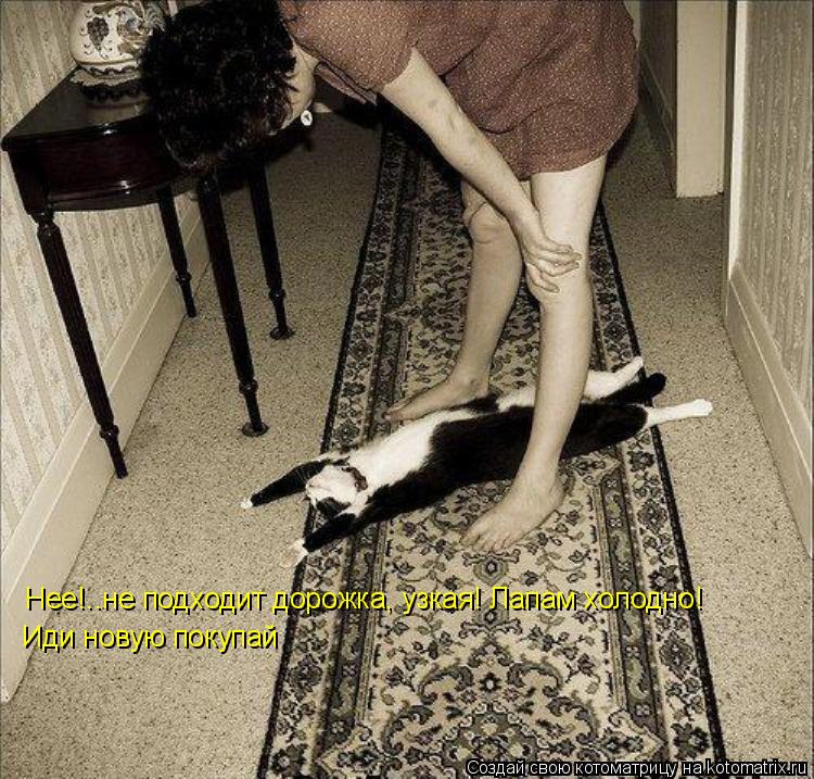 Нее!..не подходит дорожка, узкая! Лапам холодно! Иди новую покупай... Котоматрица: Нее!..не подходит дорожка, узкая! Лапам холодно! Иди новую покупай