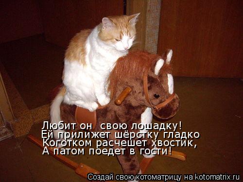 Любит он свою лошадку! Ей прилижет шёрстку гладко Коготком расчешет хвостик, А патом поедет в гости!... Котоматрица: Любит он свою лошадку! Ей прилижет шёрстку гладко Коготком расчешет хвостик, А патом поедет в гости!
