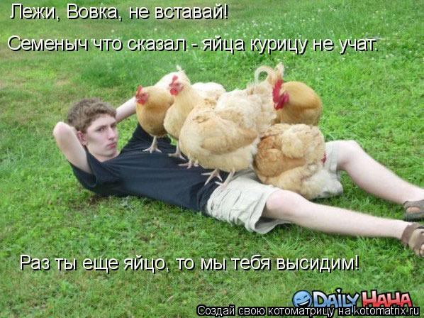 Лежи, Вовка, не вставай! Семеныч что сказал - яйца курицу не учат. Раз ты еще яйцо, то мы тебя высиди... Котоматрица: Лежи, Вовка, не вставай! Семеныч что сказал - яйца курицу не учат. Раз ты еще яйцо, то мы тебя высидим!