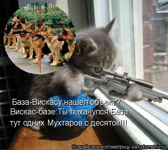 База-Вискасу:нашёл объект? Вискас-базе:Ты лоханулся,База, тут одних Мухтаров с десяток!!!... Котоматрица: База-Вискасу:нашёл объект? Вискас-базе:Ты лоханулся,База, тут одних Мухтаров с десяток!!!