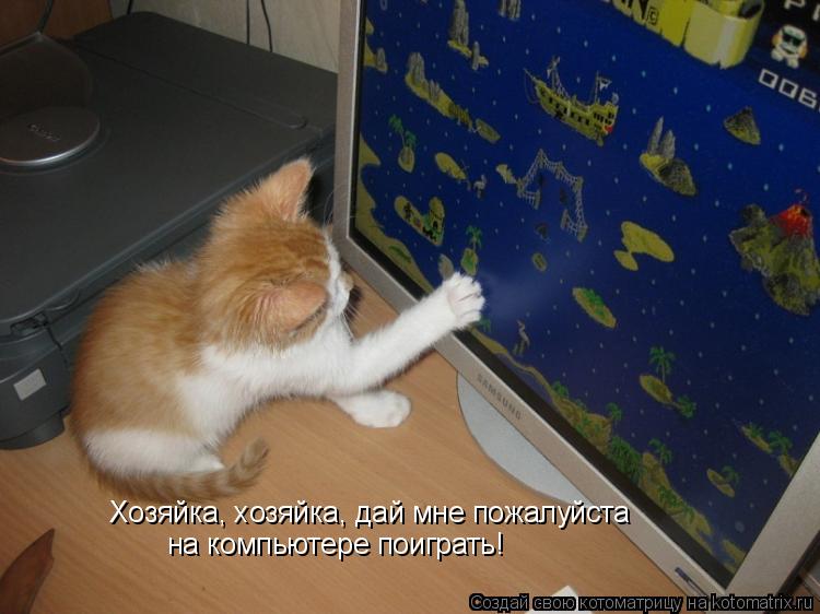 на компьютере поиграть! Хозяйка, хозяйка, дай мне пожалуйста... Котоматрица: на компьютере поиграть! Хозяйка, хозяйка, дай мне пожалуйста