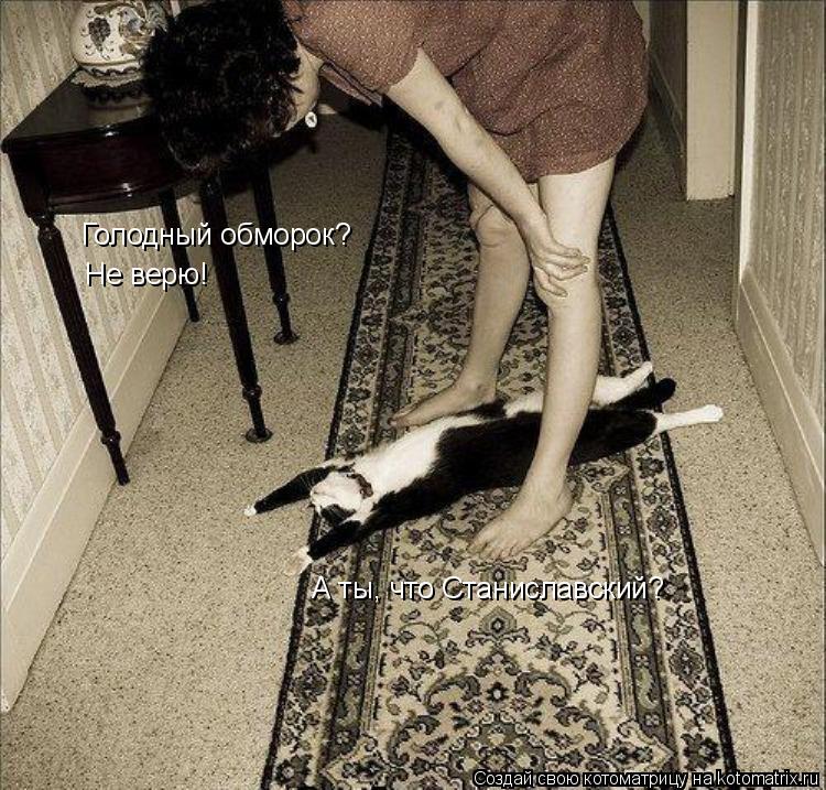 Голодный обморок? Не верю! А ты, что Станиславский?... Котоматрица: Голодный обморок? Не верю! А ты, что Станиславский?