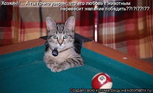 Хозяин!!... А ты точно уверен, что его любовь к животным перевесит желание победить??!?!??!??... Котоматрица: Хозяин!!... А ты точно уверен, что его любовь к животным перевесит желание победить??!?!??!??