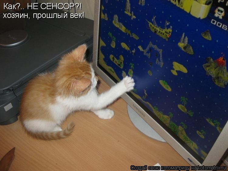 Как?.. НЕ СЕНСОР?! хозяин, прошлый век!... Котоматрица: Как?.. НЕ СЕНСОР?! хозяин, прошлый век!