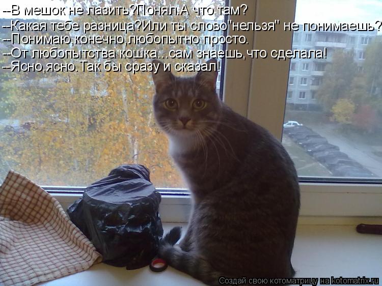 --В мешок не лазить?Понял.А что там? --Какая тебе разница?Или ты слово"нельзя" не понимаешь? --Понима... Котоматрица: --В мешок не лазить?Понял.А что там? --Какая тебе разница?Или ты слово"нельзя" не понимаешь? --Понимаю,конечно,любопытно просто. --От любопытств