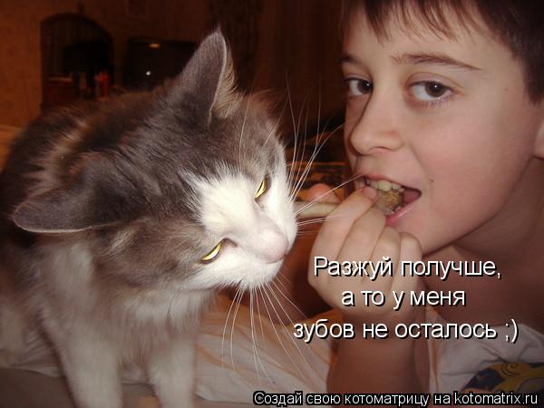 Разжуй хорошо, а то у меня зубов не осталось Разжуй получше, а то у меня зубов не осталось ;)... Котоматрица: Разжуй хорошо, а то у меня зубов не осталось Разжуй получше, а то у меня зубов не осталось ;)