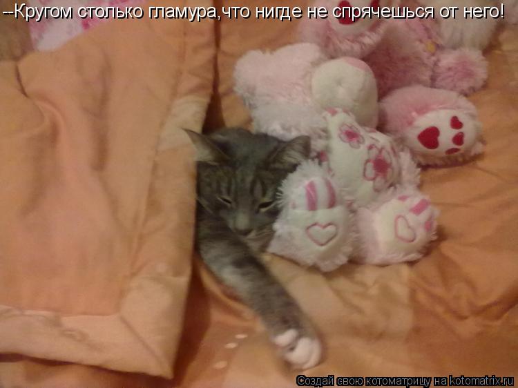 --Кругом столько гламура,что нигде не спрячешься от него!... Котоматрица: --Кругом столько гламура,что нигде не спрячешься от него!